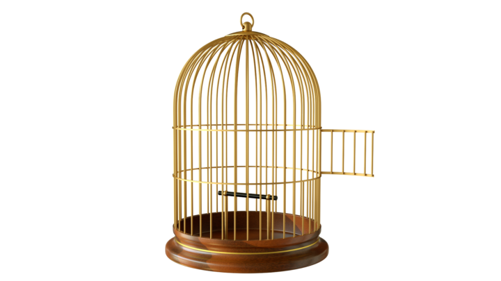 Wanneer kies je voor een aflossingsvrije hypotheek