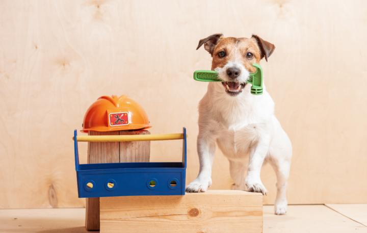 Verbouwen met bouwdepot of eigen geld?