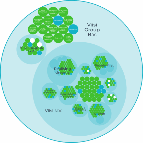 Viisi holacracy organigram